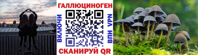 Галлюциногенные грибы Psilocybine cubensis  Купить  Арсеньев 
